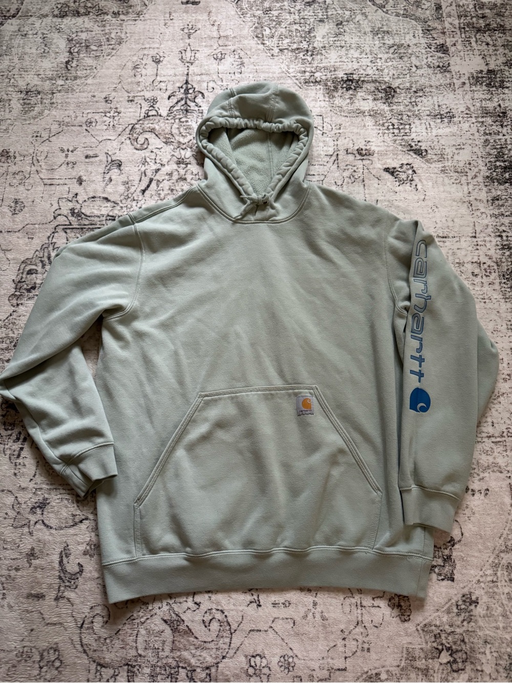 Carhartt Men's Pullover Hoodie in Light Sage with Blue Sleeve Logo